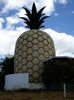 Immagine Gympie