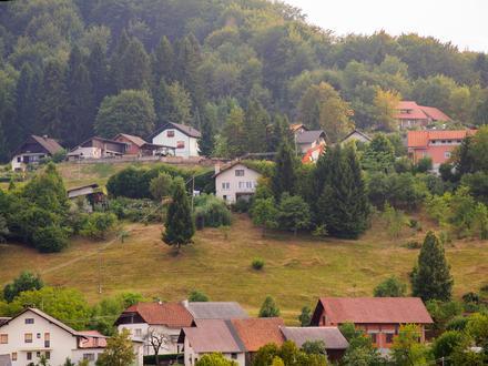 Slika Golo
