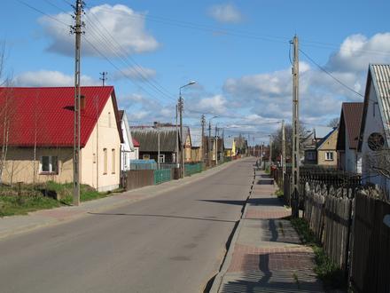 Image of Karakule Image of Karakule