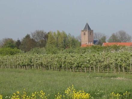 Afbeelding van Schoonrewoerd Afbeelding van Schoonrewoerd