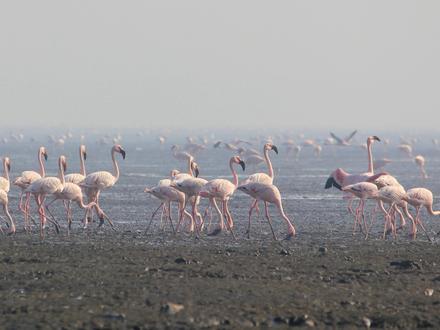 Image of Sewri Image of Sewri