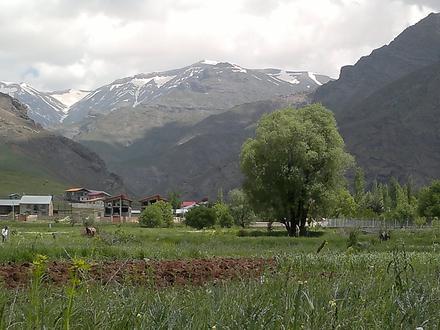 Image of Jozinan Image of Jozinan