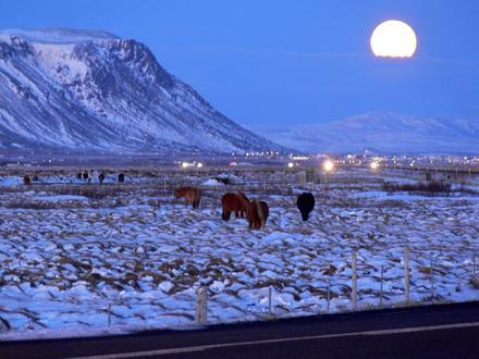 Asukoha Selfoss pilt