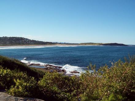 Bild von Dee Why