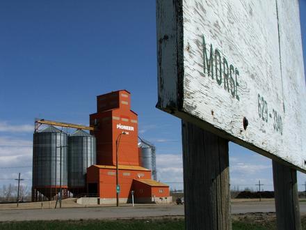 Afbeelding van Mores (Canada)