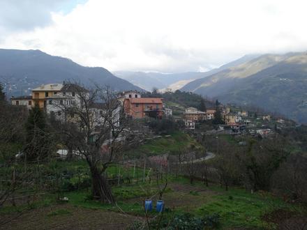 Immagine Tribogna Immagine Tribogna