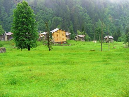 Image of Ayder Image of Ayder