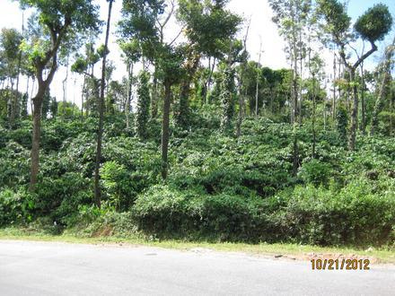 Imagen de Sakleshpur Imagen de Sakleshpur