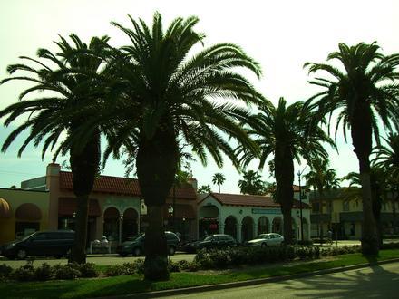 Image of Venice, Florida Image of Venice, Florida