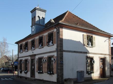 Zdjęcie dla: Denney