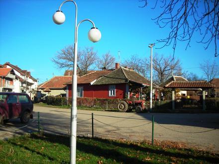 Slika Vitoševac Slika Vitoševac