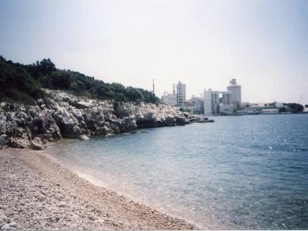 Slika Koromačno