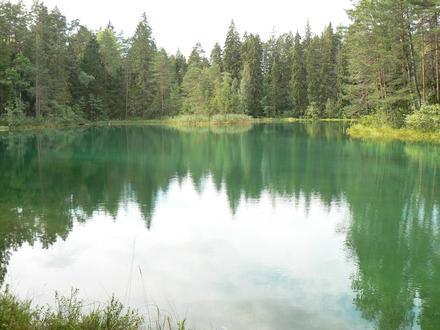 Bild von Äntu Bild von Äntu