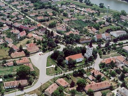 Immagine Tiszaroff Immagine Tiszaroff