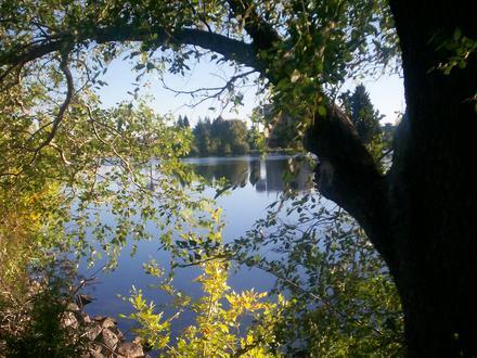 Bild von Idaho Falls