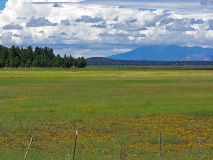 Bild von Mormon Lake Bild von Mormon Lake
