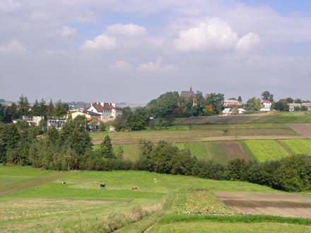 Bild von Luborzyca