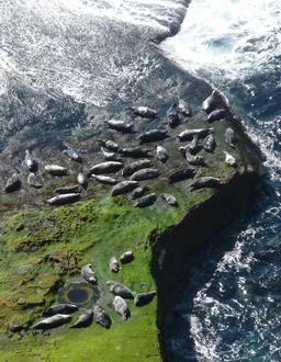 Bild von Orkney