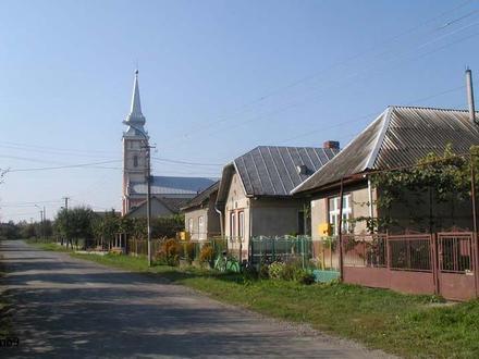 Bild von Solomonowo Bild von Solomonowo