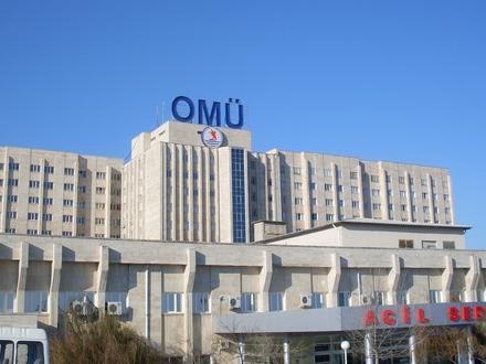 Bild von Samsun Bild von Samsun