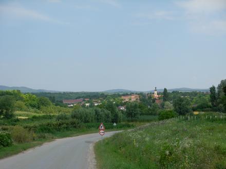 Slika Rivica Slika Rivica