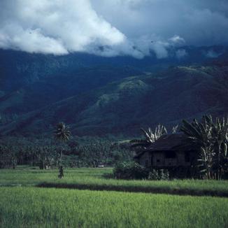 Asukoha Palu pilt