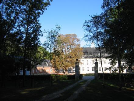 Afbeelding van Arnicourt