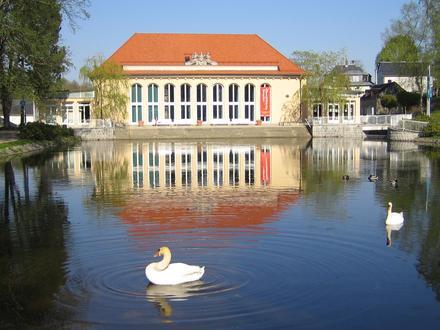 Bild von Bad Brambach
