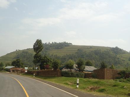 Bild von Kisoro Bild von Kisoro