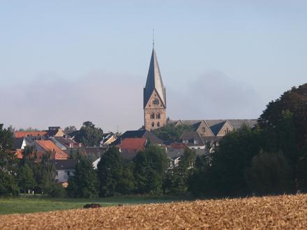 Immagine Steinheim Immagine Steinheim