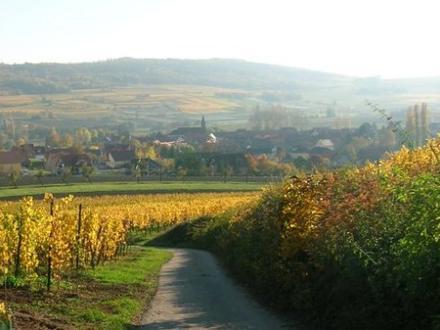 Obrázok Bergbieten Obrázok Bergbieten