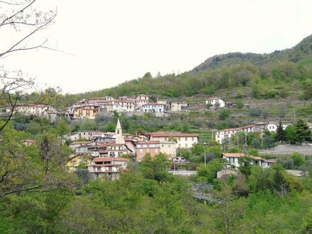 Image of Armo Image of Armo