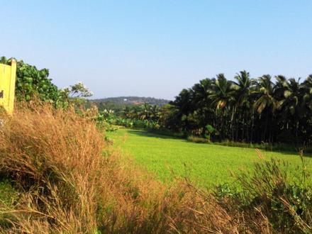 Image of Kuttippuram Image of Kuttippuram
