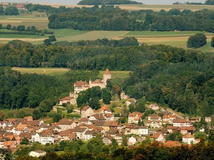 Bild von Lucens