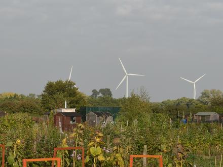 Bild på St. Osyth