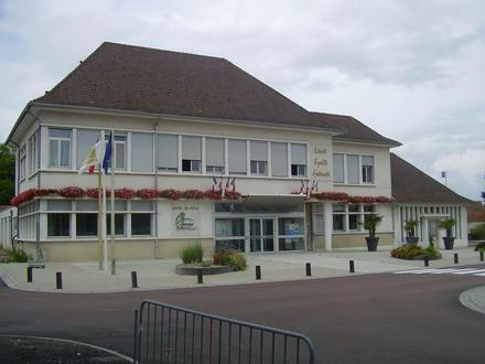 Imatge de Vaissa