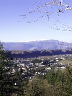 تصویر تسالنجیخا تصویر تسالنجیخا