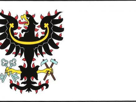Immagine Petrovice I