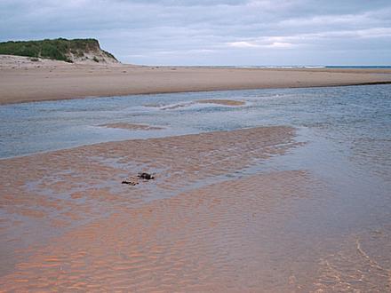 Image of St Combs