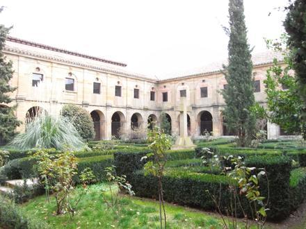 Imagen de Cañas Imagen de Cañas