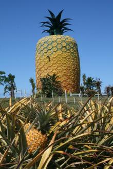 Image of Bathurst, Eastern Cape Image of Bathurst, Eastern Cape