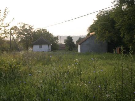 Slika Krćevac Slika Krćevac
