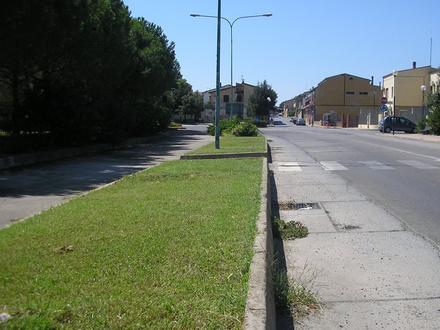 Image de Siliqua