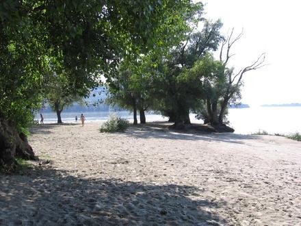 Imagen de Bela Stena