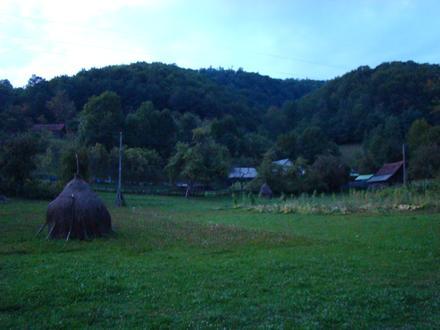 Image of Buceș Image of Buceș