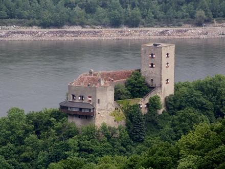 Bild von Burg Greifenstein (Niederösterreich)