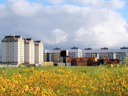 Bild von Pinhais Bild von Pinhais