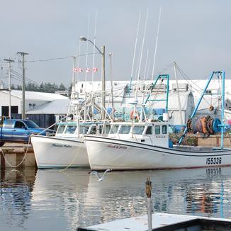 Image de Murray Harbour Image de Murray Harbour
