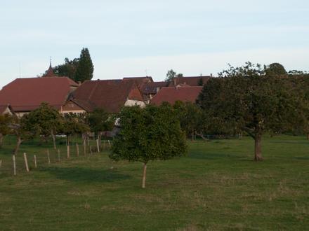 Bild von Vuarrens