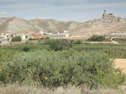 Imagen de Rodén Imagen de Rodén